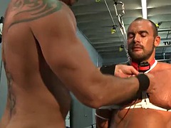 Colin Steele tied up Jesse Balboa in the gym