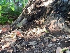 Foot fetish freak fingers her hairy pussy in the woods